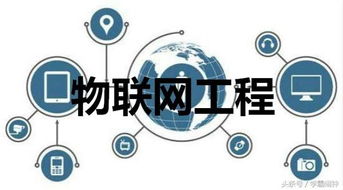 网络工程与物联网工程 高考志愿填报的关键区别